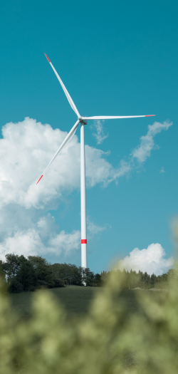 Wind turbine in a field against a blue sky.